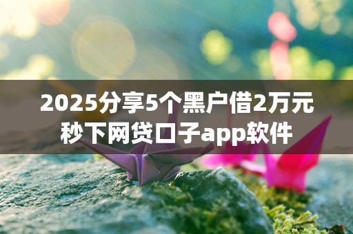 2025分享5个黑户借2万元秒下网贷口子app软件