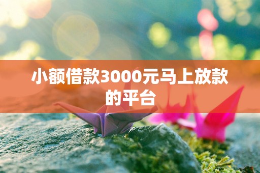 小额借款3000元马上放款的平台