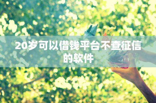 20岁可以借钱平台不查征信的软件